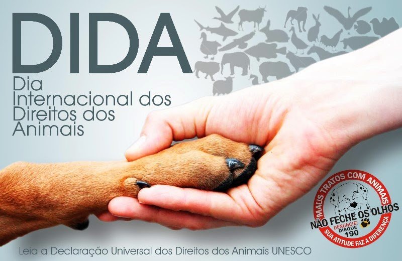 Direitos dos Animais - Direitos dos Animais