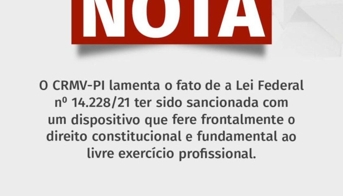 WhatsApp Image 2022-02-24 at 00.11.16