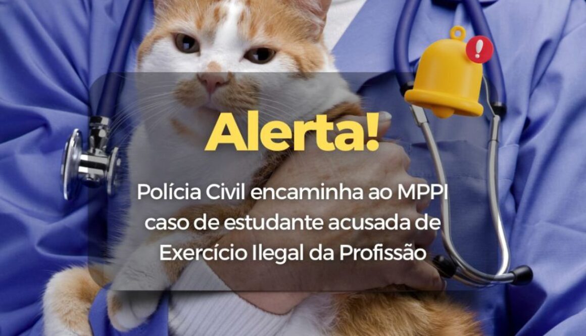 IMAGEM DENUNCIA AO MP