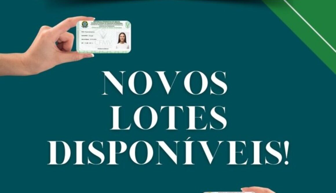 Dia do Vira-Lata (Post para Instagram)