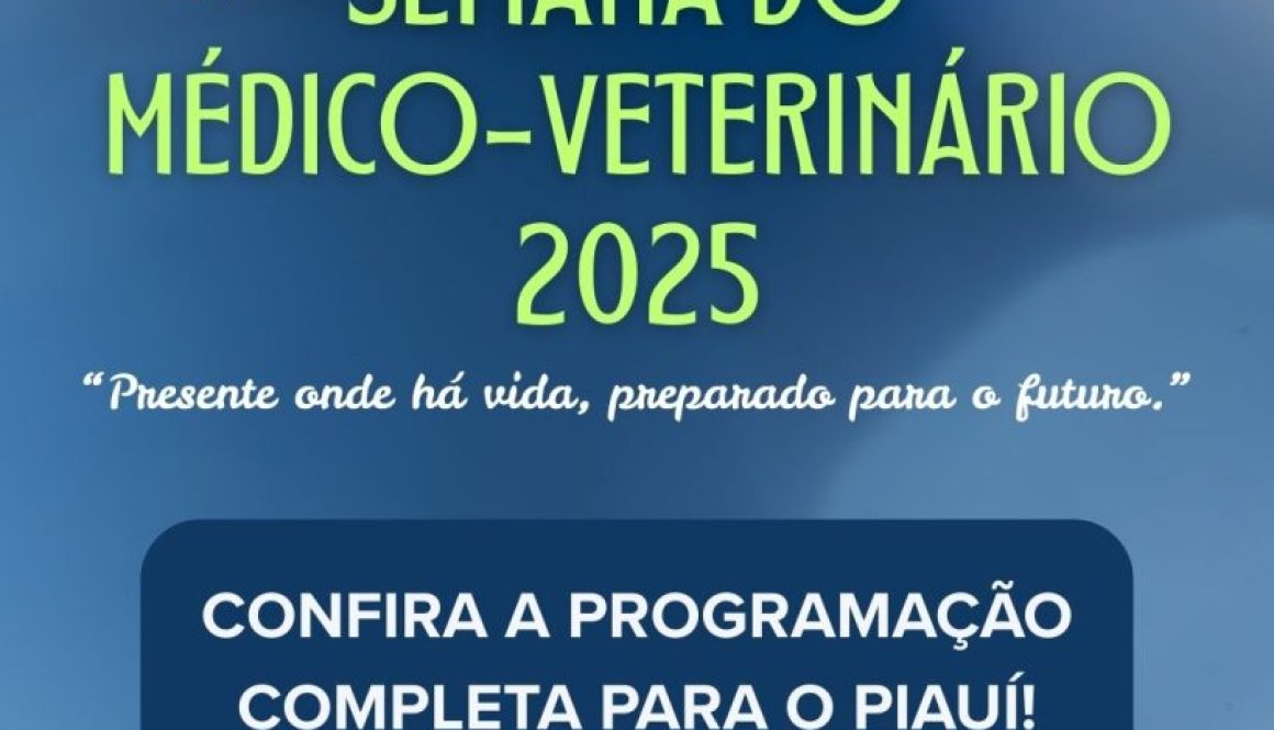 instatgram story azul e amarelo com programação de palestras para evento